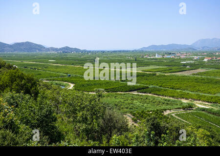 Area fertile vicino Makarska Riviera, Dalmazia, Croazia Foto Stock