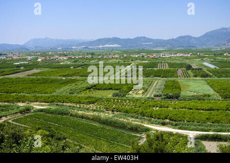 Area fertile vicino Makarska Riviera, Dalmazia, Croazia Foto Stock