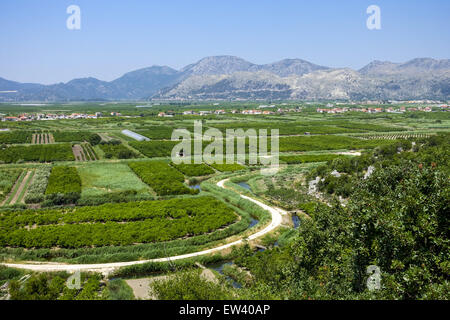 Area fertile vicino Makarska Riviera, Dalmazia, Croazia Foto Stock