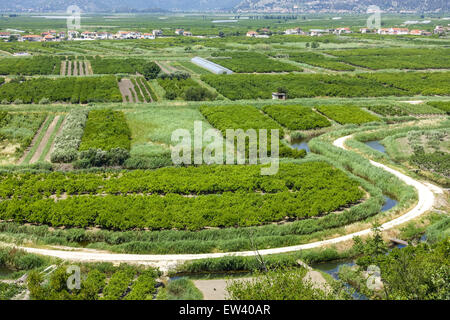 Area fertile vicino Makarska Riviera, Dalmazia, Croazia Foto Stock