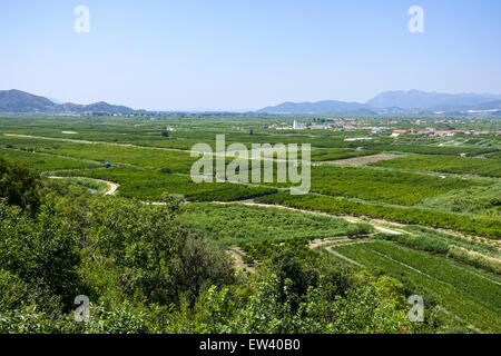 Area fertile vicino Makarska Riviera, Dalmazia, Croazia Foto Stock