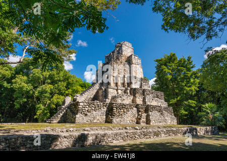 Estructura 8I-13 (El Castillo) a Chunyaxche (Muyil) le rovine Maya, la foresta pluviale vicino a Tulum, la penisola dello Yucatan, Quintana Roo, Messico Foto Stock