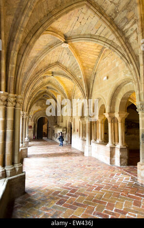 Chiostri del Royal monastero cistercense di Santa Maria de Veruela Foto Stock
