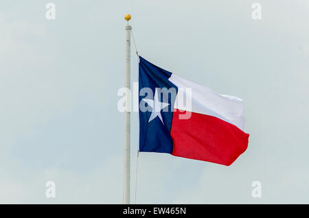 Dello stato del Texas battenti bandiera da un pennone contro un pallido cielo blu. Texas, Stati Uniti d'America. Foto Stock