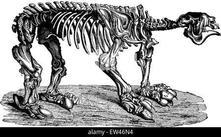 Megatherium, vintage illustrazioni incise. Messa a terra prima di uomo - 1886. Illustrazione Vettoriale