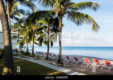 Spiaggia, sedie allineate sulla spiaggia di fronte al mar dei Caraibi in un resort sull'isola di ST CROIX, U. S. Isole Vergini. Foto Stock