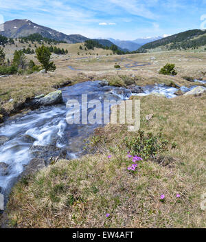 La primavera in Madriu-Perafita-Claror Valley Foto Stock
