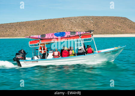 Messico, Baja, Lapaz, Espiritu Santo. I turisti a cavallo in barca. Foto Stock