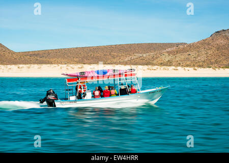 Messico, Baja, Lapaz, Espiritu Santo. I turisti a cavallo in barca. Foto Stock