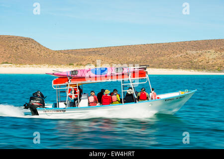 Messico, Baja, Lapaz, Espiritu Santo. I turisti a cavallo in barca. Foto Stock