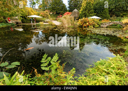 Ness Botanic Gardens sono situati vicino alla lingua inglese e confine gallese nel Cheshire, vicino alla città di Chester . Foto Stock