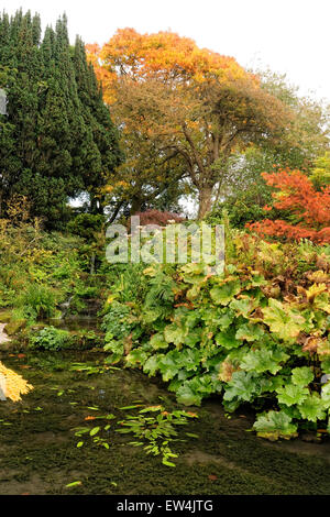 Ness Botanic Gardens sono situati vicino alla lingua inglese e confine gallese nel Cheshire, vicino alla città di Chester . Foto Stock