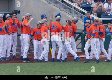 Omaha, NE, Stati Uniti d'America. 17 Giugno, 2015. Due dei più lunghi corre a casa presso il College World Series a partire dal 2011 sono stati entrambi colpiti dalla Florida giocatori. Florida's Harrison Bader #8 ha colpito il primo home run a 414' seguita da Buddy Reed #23 che ha colpito un 412'. Harrison Bader #8 in azione durante il gioco 9 del 2015 uomini del NCAA College World Series tra gli uragani di Miami e Florida Gators a TD Ameritrade Park in Omaha, NE.Nathan Olsen/Cal Sport Media/Alamy Live News Foto Stock