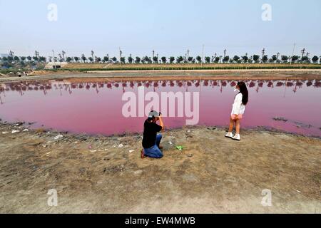 Yuncheng cinese nella provincia di Shanxi. 17 Giugno, 2015. I visitatori prendere le foto di una rosa di Salt Lake in Yuncheng, nel nord della Cina di nella provincia di Shanxi, 17 giugno 2015. Lago Rosa è un fenomeno naturale dovuto alla presenza di alga che produce carotenoidi, un tipo di verde halophile micro-alga trova in particolare nelle sale di mare campi. Una volta che il lago di acqua raggiunge un livello di salinità superiore a quella dell'acqua di mare, la temperatura è abbastanza elevata e adeguate condizioni di luce sono forniti, l'alga inizia ad accumulare il pigmento rosso il beta-carotene. Credito: Zhan Yan/Xinhua/Alamy Live News Foto Stock