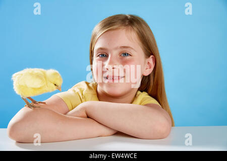 Kid ragazza con pulcino giallo giocando sulla tavola con sfondo blu Foto Stock