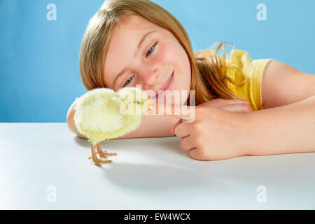 Kid ragazza con pulcino giallo giocando sulla tavola con sfondo blu Foto Stock