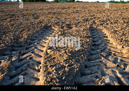 Agricoltura le ruote del trattore tracce sul campo di fattoria di suolo Foto Stock