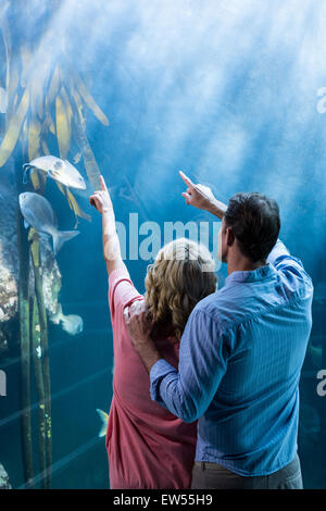 Vista di usura del giovane puntando un pesce nel serbatoio Foto Stock