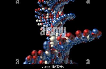 Una vista al microscopio di un modello di sequenza di DNA style rosso blu e atomi di bianco su uno sfondo isolato Foto Stock