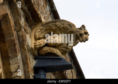 Un gargoyle sulla St Botolph's, Chiesa Brampton, Northamptonshire, England, Regno Unito Foto Stock