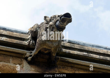 Un gargoyle sulla St Botolph's, Chiesa Brampton, Northamptonshire, England, Regno Unito Foto Stock