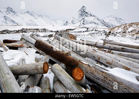 Poco winterly cantiere Isole Lofoten Foto Stock