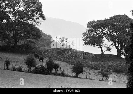 Plas Dol-y-Moch, Coventry della Outdoor Education Center, situato nel cuore del Parco Nazionale di Snowdonia.Maentwrog, Gwynedd, Galles, 26 ottobre 1987. Foto Stock