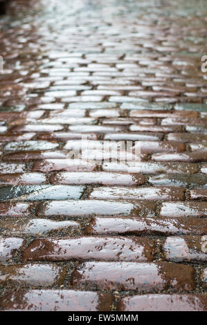 Wet vintage strada acciottolata vista verticale Foto Stock