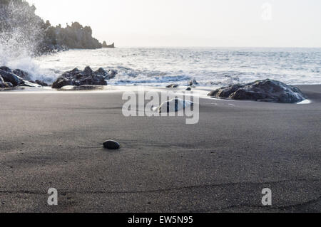 Playa la Arena sabbia nera vulcanica beach closeup spruzzi d'onda su sfondo, Tenerife, Isole Canarie Foto Stock