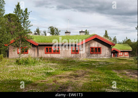 Norvegia, la valle di Gudbrandsdalen. Un tappeto erboso tradizionale con tetti baita di montagna (hytte) su un estate fattoria (saeter) Foto Stock