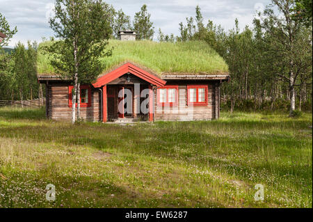 Norvegia, la valle di Gudbrandsdalen. Un tappeto erboso tradizionale con tetti baita di montagna (hytte) su un estate fattoria (saeter) Foto Stock