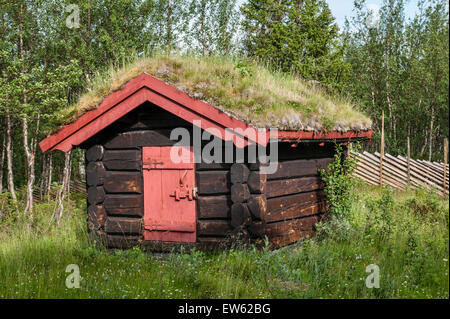 Norvegia, la valle di Gudbrandsdalen. Un tappeto erboso tradizionale con tetti baita di montagna (hytte) su un estate fattoria (saeter) Foto Stock