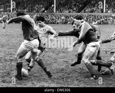 Llanelli v Australia partita di rugby, durante il tour in Australia di Gran Bretagna e Irlanda. Llanelli ha vinto: Llanelli 19, Australia 16. Llanelli hooker Kerry Townley, palla ai suoi piedi, unità verso la Aussies linea". Xx Novembre 1984. Foto Stock