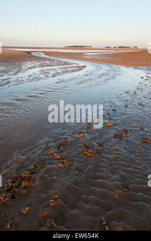 Pozzetti-next-il-mare spiaggia, Norfolk, Inghilterra, Regno Unito come il sole tramonta e la marea è fuori Foto Stock