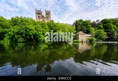 Usura del fiume, la Cattedrale di Durham e il vecchio Fulling Mill Foto Stock