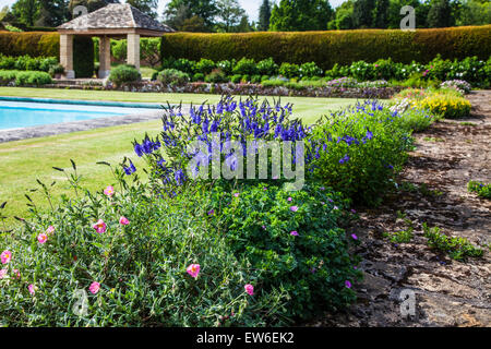 Fioritura bordo intorno alla piscina presso la struttura Bowood House nel Wiltshire. Foto Stock