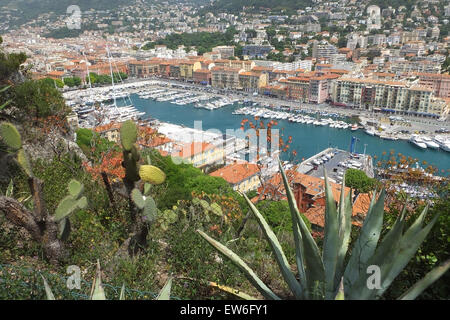 Vista sul porto vecchio di Nizza Francia con piante esotiche in primo piano Foto Stock