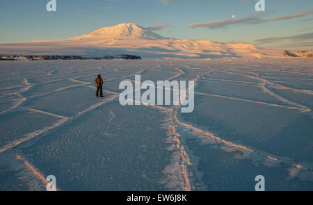 Un uomo guarda attraverso l'oceano congelato di incrinature nel McMurdo Sound regione del Mare di Ross, Antartide. Il monte Erebus sfondo. Foto Stock