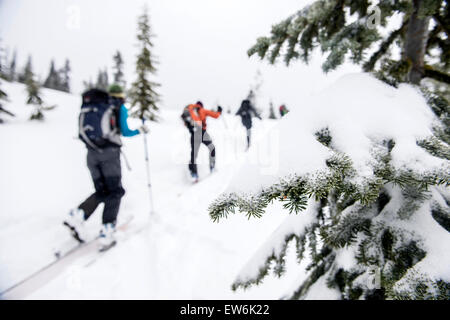 Gli sciatori si muove in salita nel Yodelin back country ski area, vicino a Stevens Pass, Washington. Foto Stock