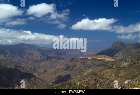 Navigazione centrale di Gran Canaria, pini delle Canarie cresce sui pendii intorno Artenara Foto Stock