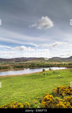 Loch Mhor nelle Highlands Scozzesi. Foto Stock