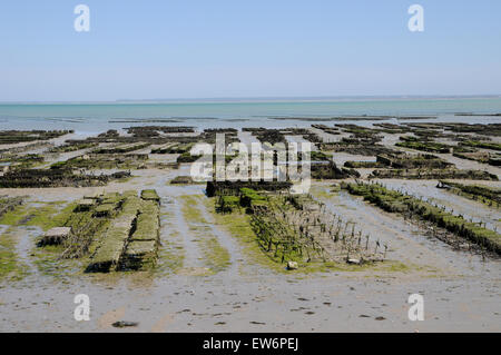 La bassa marea vista del vecchio di ostriche a Cancale. Foto Stock