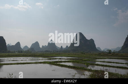 Campo di riso e acqua, Cina Foto Stock