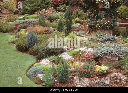 Piccole conifere e piante alpine in settanta rockery garden con bordatura pulito Foto Stock