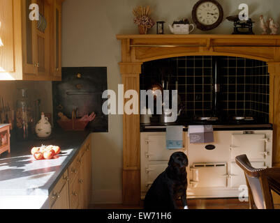 Il Labrador nero cane seduto accanto a crema Aga forno in cucina di paese Foto Stock