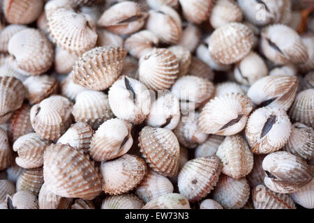 Il sangue si arriccia per la vendita al Mercato Centrale (noto anche come Psah Thom Thmey o nuovo Gran mercato) in Phnom Penh Cambogia. Foto Stock