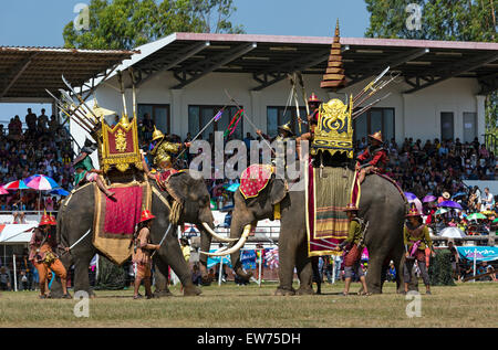 La guerra gli elefanti combattimenti, Festival di elefante, elefante Round Up, Surin, Provincia di Surin, Isan, Isaan,Thailandia Foto Stock