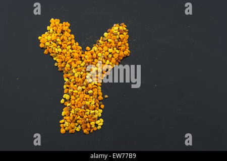 Lettera y (y) Ypsilon greco /cirillico, creato da coloratissimi fiori più naturale e selvaggio organici di polline raccolto dalle api api Foto Stock