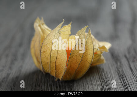 Physalis frutto su oak tavolo in legno Foto Stock