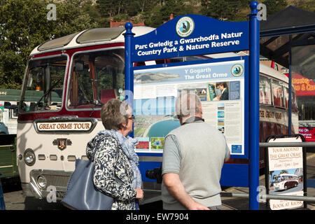 Nel Regno Unito, in Galles, Conwy, Llandudno, giovane guardando Great Orme country park board dal 1958 Leyland Tiger Cub Pullman Foto Stock